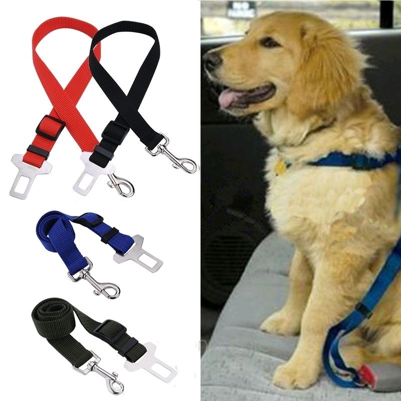 Car Seat Belt Pet Dog Leash Ad - Travel Accessories Dropshipping recensione e prezzo